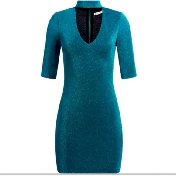 Alice + Olivia Inka Mini Dress SIZE 6 NWT - Picture 2 of 14